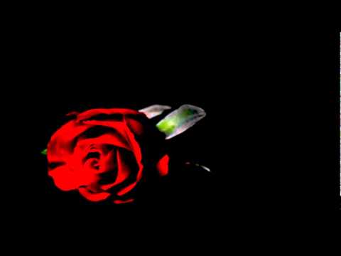 Martin Greenland - Just for L (Original Mix)