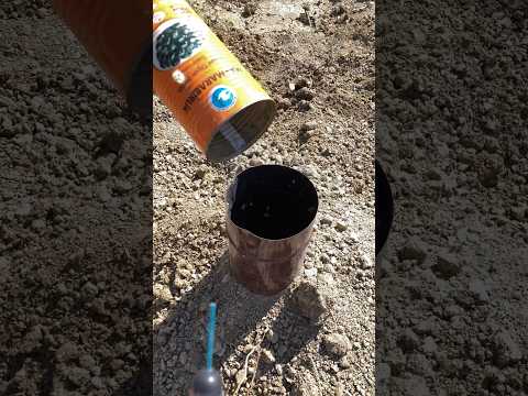 Torpil bombası ile havan topu yaptık :) (kesinlikle evde denemeyin)! Abone olmayı unutmayın.