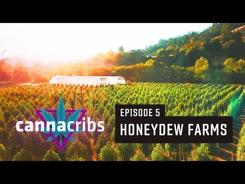 1st California Recreational Cannabis Farm (S1E5: Honeydew Farms, Humboldt) Video