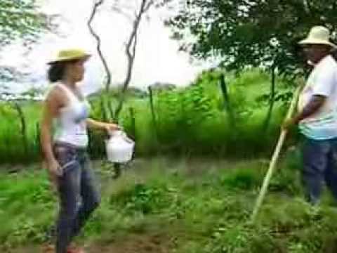 VÍDEO DE BOLSO: EDUCAÇÃO NO CAMPO