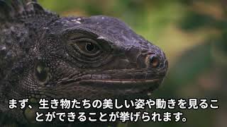 水族館の秘密と魅力
