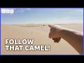 Gordon Loses The Camels My Epic Camel Adventure With Gordon Buchanan