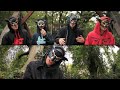The Four Owls - Not Like Before (OFFICIAL VIDEO ...