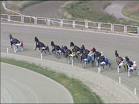 Napoli Trotto 02/12/2022 - 5ª corsa