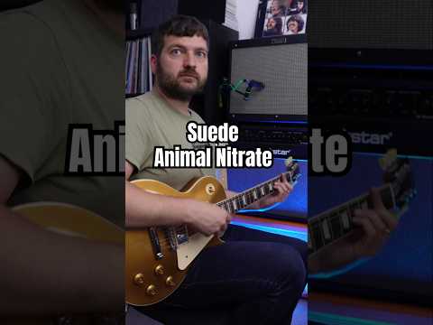 Animal Nitrate - Basement