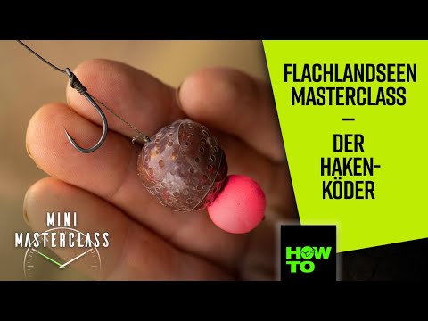 Korda Mini Masterclass - Der Hakenköder für den Flachlandsee | HOW TO