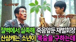 Download lagu 절벽에서 실족해 죽어가는 재벌회장을 심마니 소년이 백년된 산삼 한뿌리를 먹여 목숨을 살리는데.. mp3