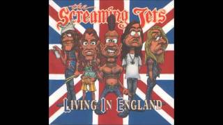 the screaming jets- ain&#39;t no fun