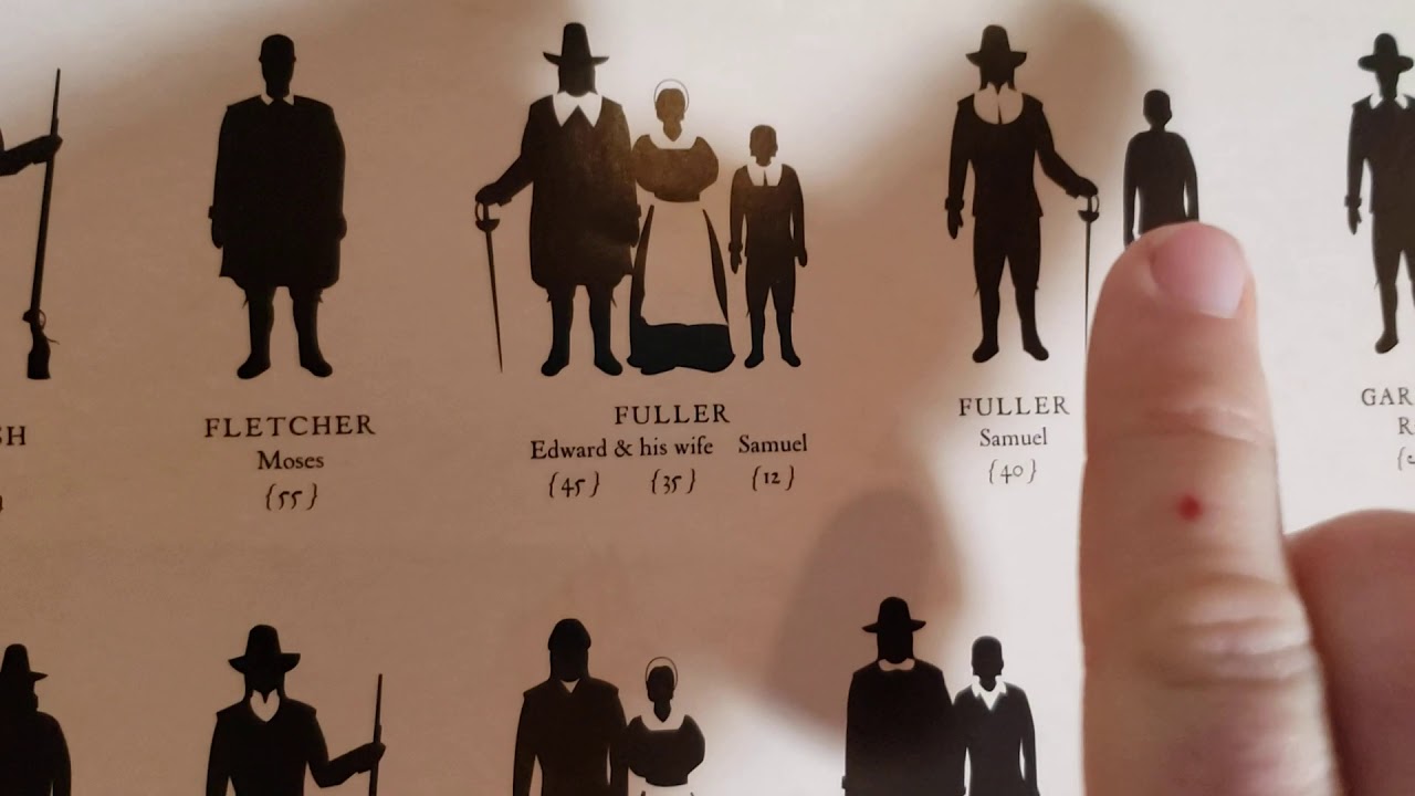 Who were the Mayflower passengers?