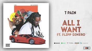 T-Pain - All I Want Ft. Flipp Dinero (1UP)