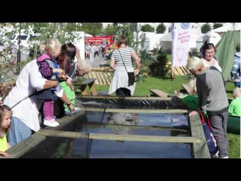 Mersmak i Skien promofilm