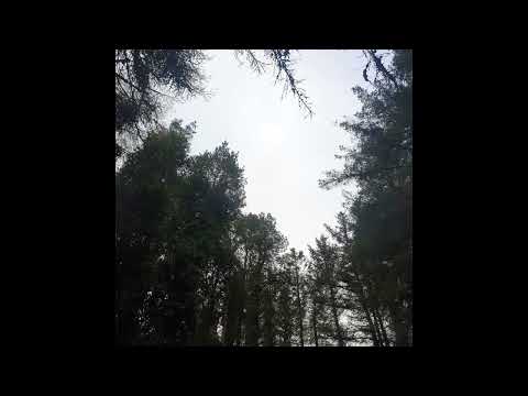 [FREE] nothing,nowhere. x jay vee x brevin kim x skele x sendflowrs type beat - whatever you want.