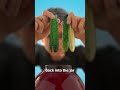 How To Make Koolickles 😮