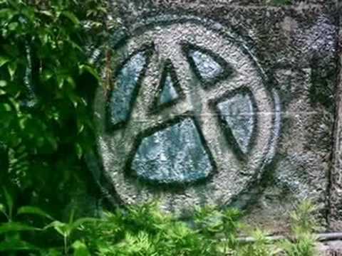 Skalar - Autoriteter!