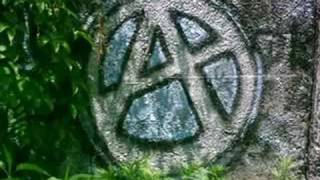 Skalar - Autoriteter!