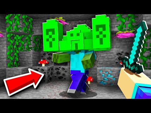 Magicknup -  I transform mobs into structures in Minecraft!  (it's crazy !!!)