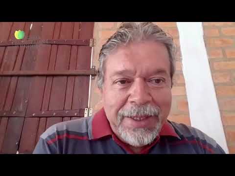 Culto Das Crianças | Pinheiros Infância  - 07/06/2020