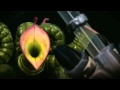 THX Trailer