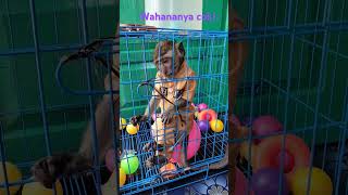 Download lagu 21 April 2025 mp3 Download lagu 21 April 2025 mp3