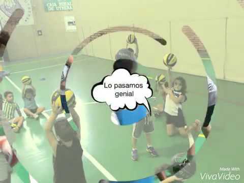 Escuela Chiquibasquet