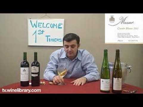 Lebanon Wines and How They Taste. - Episode #115