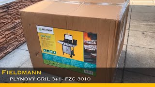 Fieldmann FZG 3010 41010418
