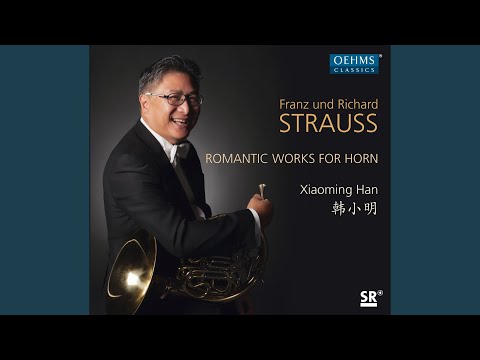 Fantasy on Schubert's Sehnsuchtswalzer, Op. 2