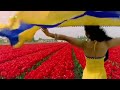 Hind Sang Salman Khan