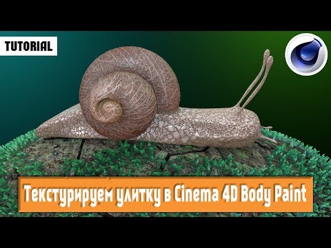 Текстурируем улитку в Cinema 4D Body Paint /tutorial/