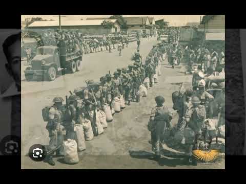 another one of those fijian heroes 😎