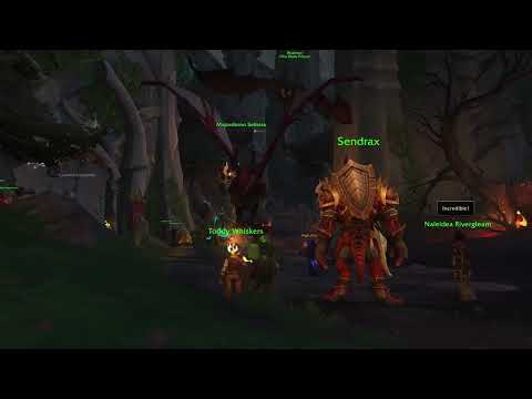 My First Real Emergency! (The first meeting with Wrathion in Dragon Isle)