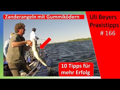 Zanderangeln und Köderführung: 10 Tipps für mehr Erfolg mit Gummiköder