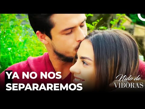 Nunca Me Rendiré De Ti - Nido De Víboras Capitulo 5 (Dobladas en Español)
