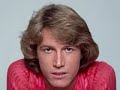 I Just Want To Be Your Everything de Andy Gibb