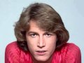 Andy Gibb - I Just Want to Be Your Everything