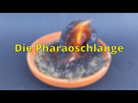 Die Pharaoschlange - Experimente Zuhause