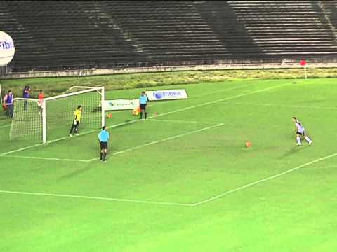 CLIP FINAL BOTAFOGO CAMPEÃO SERIE D