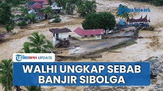 Warga Menangis hingga Lapar, Walhi: Kerusakan Hutan Batang Toru Jadi Pemicu Banjir & Longsor Sumut