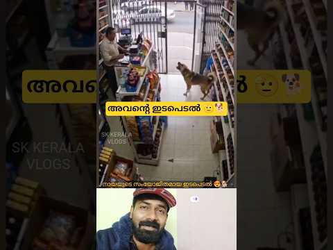 നായ ഓടിവന്ന് അറിയിച്ചത് കണ്ടോ 😍🐾