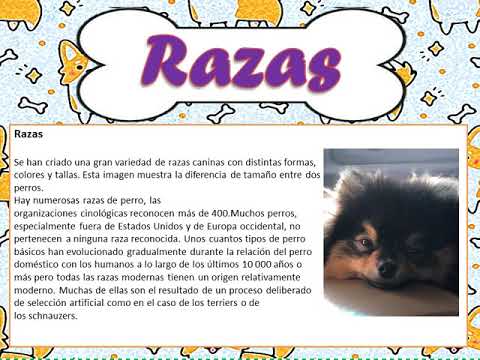 VIDEO LOS PERRITOS POR DAIRA