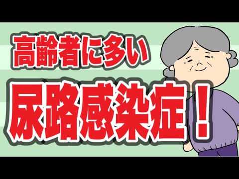 尿路感染症について詳しく解説