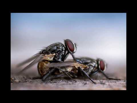 mix tek 196 viens souffler dans le sonomètre