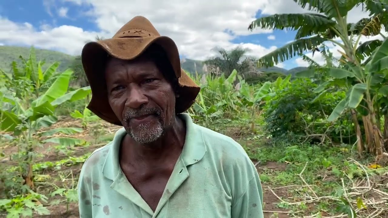 [Piritiba Bahia] DA FRUTA A VERDURA, ELES CULTIVAM TUDO DE FORMA NATURAL