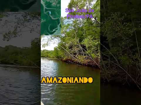 Amazoniando em São João de Pirabas/PA #amazonia #praia #biólogo