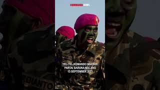 Download lagu YEL YEL KOMANDO MARINIR 42/2 #marinir #tnial #tni mp3