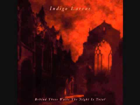 Indigo Lavrae  - Am I Dead