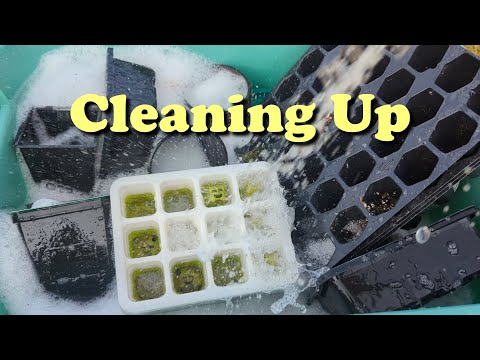 Week 23 | Cleaning Up Pots and Trays | 52 Weeks of Gardening
