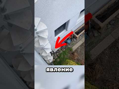 Кошачья лестница