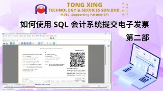 Download the video "How to Submit E-Invoice Using SQL Accounting System (PART 2)"