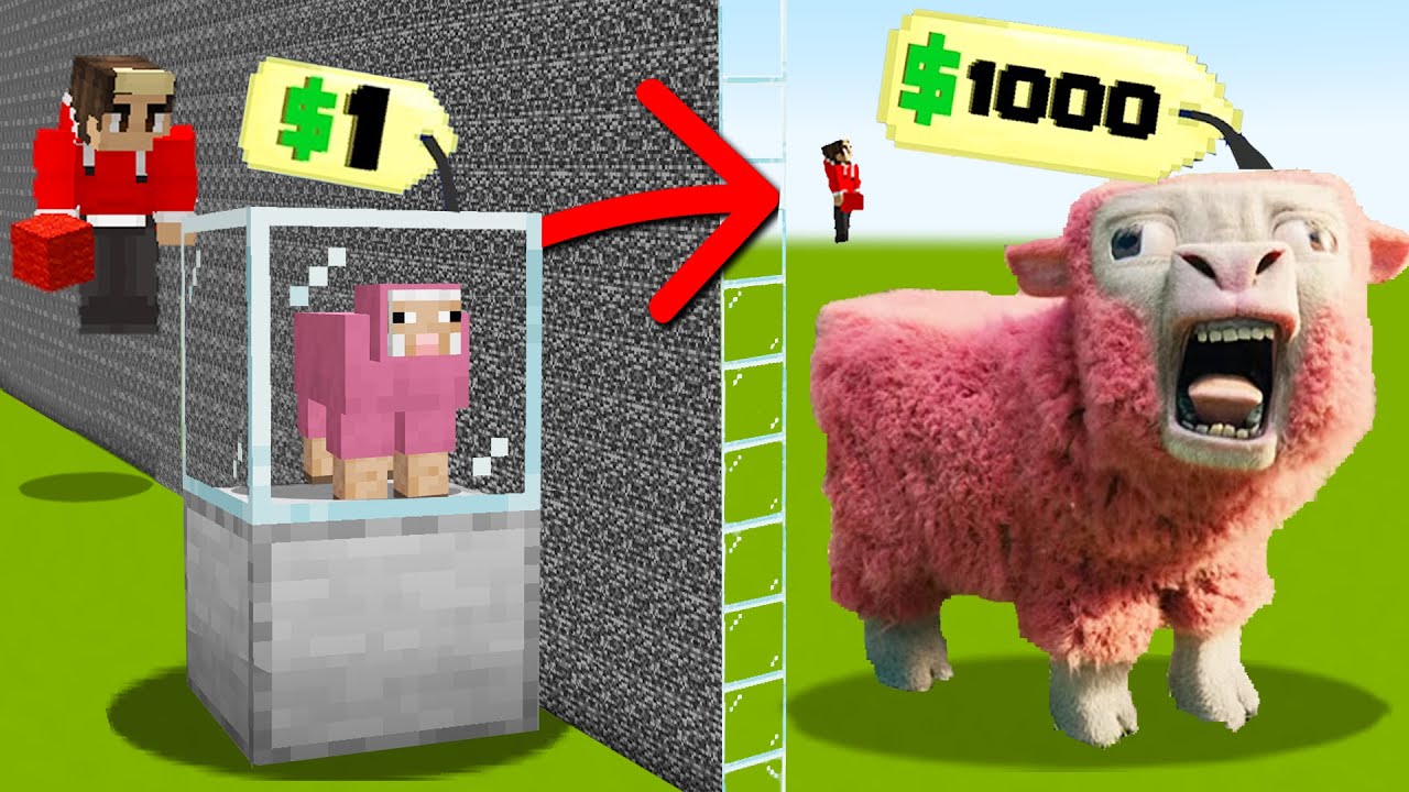 I Cheated With //SHOP In Build Battle...